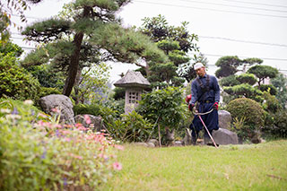 草刈・除草の目的